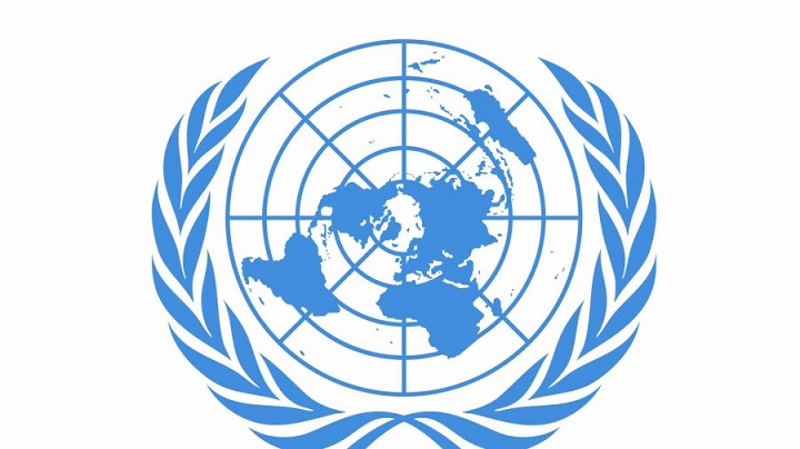 undp pic